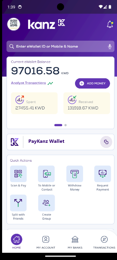 PayKanz wallet home screen showing balance and quick actions